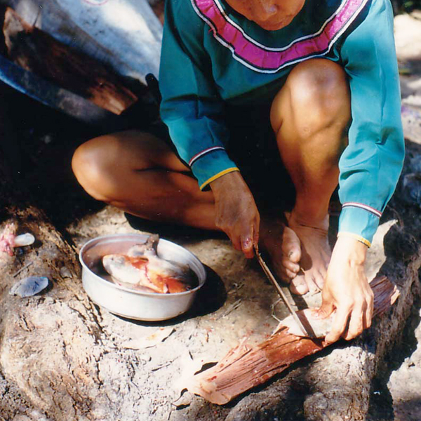 シピボ族の人々-アマゾン屋 - アマゾン・シピボ族の泥染め